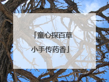 童心探百草 小手传药香