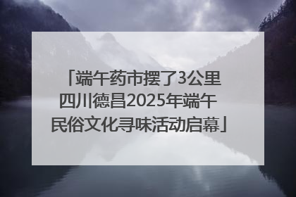 端午药市摆了3公里 四川德昌2025年端午民俗文化寻味活动启幕