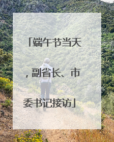 端午节当天，副省长、市委书记接访