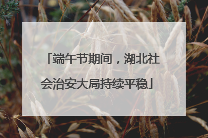 端午节期间，湖北社会治安大局持续平稳