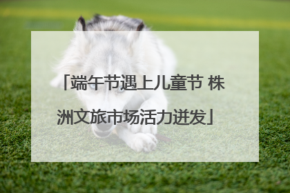 端午节遇上儿童节 株洲文旅市场活力迸发