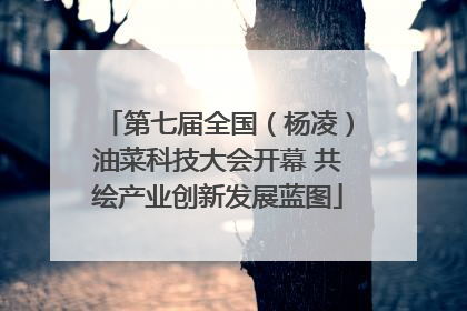 第七届全国（杨凌）油菜科技大会开幕 共绘产业创新发展蓝图