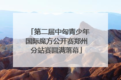 第二届中匈青少年国际魔方公开赛郑州分站赛圆满落幕
