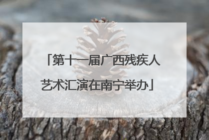 第十一届广西残疾人艺术汇演在南宁举办