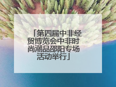 第四届中非经贸博览会中非时尚潮品邵阳专场活动举行