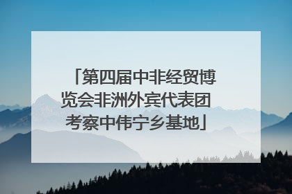第四届中非经贸博览会非洲外宾代表团考察中伟宁乡基地