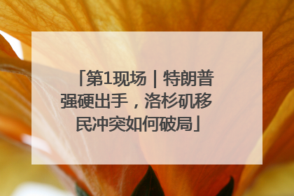 第1现场｜特朗普强硬出手，洛杉矶移民冲突如何破局