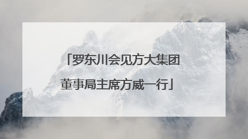 罗东川会见方大集团董事局主席方威一行