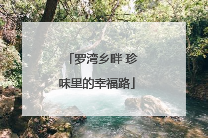 罗湾乡畔 珍味里的幸福路