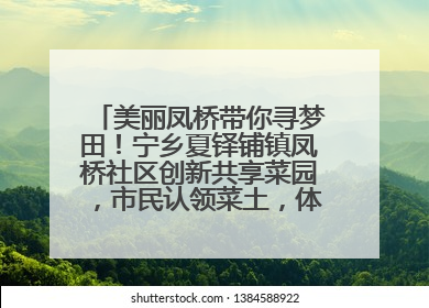 美丽凤桥带你寻梦田！宁乡夏铎铺镇凤桥社区创新共享菜园，市民认领菜土，体验耕种收获乐趣