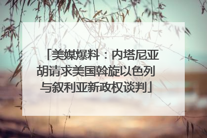美媒爆料：内塔尼亚胡请求美国斡旋以色列与叙利亚新政权谈判