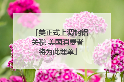 美正式上调钢铝关税 美国消费者将为此埋单
