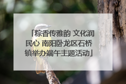 粽香传雅韵 文化润民心 南阳卧龙区石桥镇举办端午主题活动