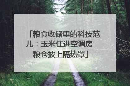 粮食收储里的科技范儿：玉米住进空调房 粮仓披上隔热罩