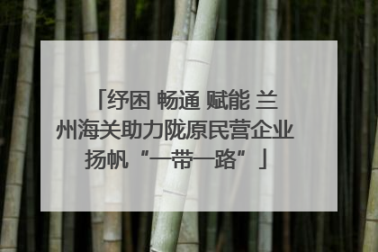纾困 畅通 赋能 兰州海关助力陇原民营企业扬帆“一带一路”