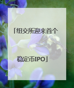 纽交所迎来首个稳定币IPO