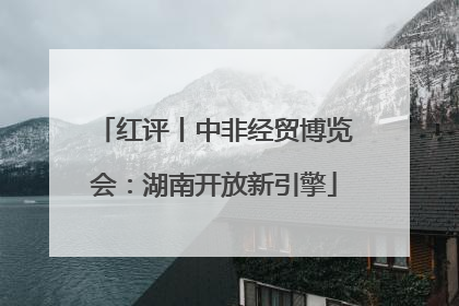 红评丨中非经贸博览会：湖南开放新引擎