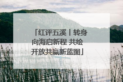 红评五溪丨转身向海启新程 共绘开放共赢新蓝图
