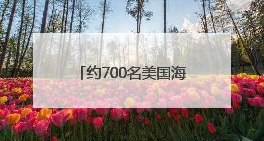 约700名美国海军陆战队士兵将部署至洛杉矶地区