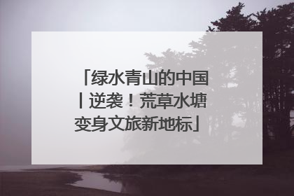 绿水青山的中国丨逆袭！荒草水塘变身文旅新地标