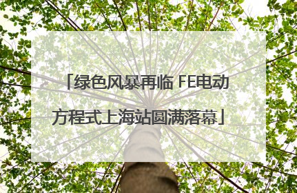 绿色风暴再临 FE电动方程式上海站圆满落幕