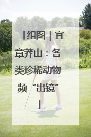 组图｜宜章莽山：各类珍稀动物频“出镜”