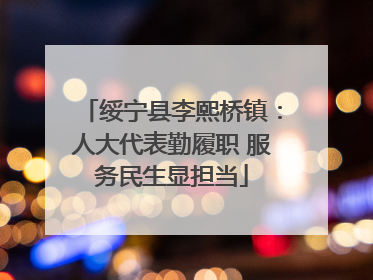 绥宁县李熙桥镇：人大代表勤履职 服务民生显担当
