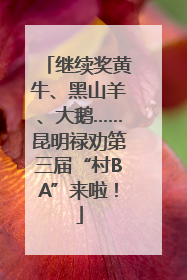 继续奖黄牛、黑山羊、大鹅……昆明禄劝第三届“村BA”来啦！