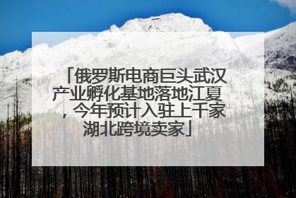 俄罗斯电商巨头武汉产业孵化基地落地江夏，今年预计入驻上千家湖北跨境卖家