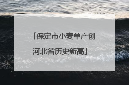 保定市小麦单产创河北省历史新高