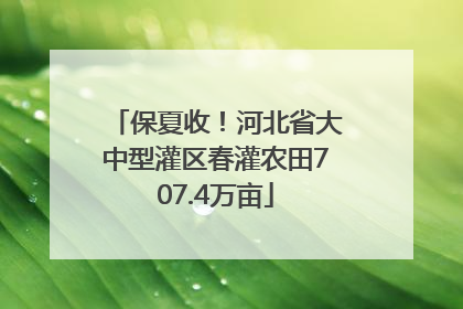 保夏收！河北省大中型灌区春灌农田707.4万亩
