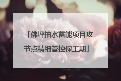 佛坪抽水蓄能项目攻节点精细管控保工期