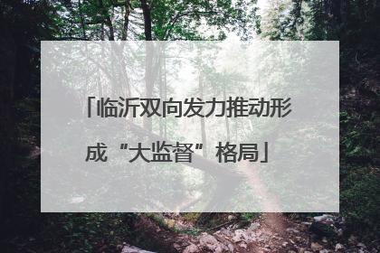 临沂双向发力推动形成“大监督”格局