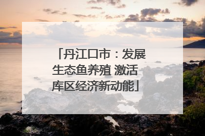 丹江口市：发展生态鱼养殖 激活库区经济新动能