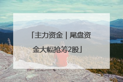 主力资金｜尾盘资金大幅抢筹2股