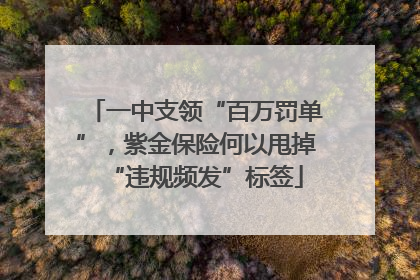 一中支领“百万罚单”，紫金保险何以甩掉“违规频发”标签