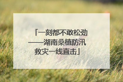 一刻都不敢松劲——湖南桑植防汛救灾一线直击