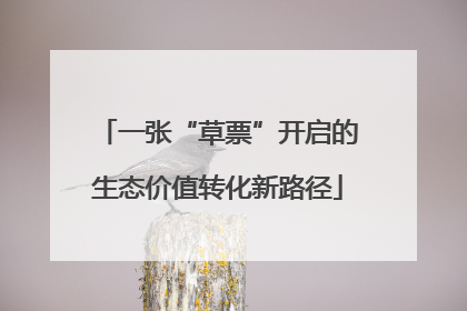 一张“草票”开启的生态价值转化新路径