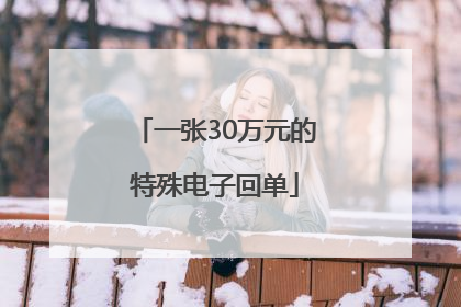 一张30万元的特殊电子回单