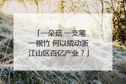一朵菇 一支笔 一根竹 何以撬动浙江山区百亿产业？