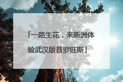 一路生花，来新洲体验武汉版普罗旺斯