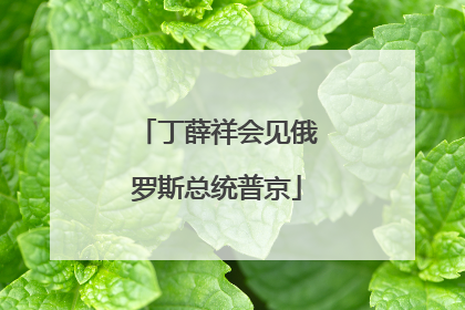 丁薛祥会见俄罗斯总统普京