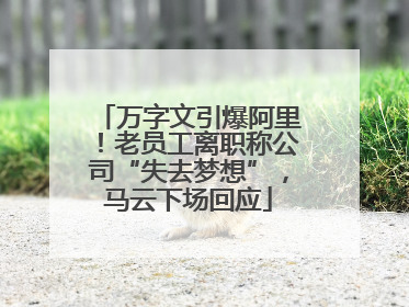 万字文引爆阿里！老员工离职称公司“失去梦想”，马云下场回应