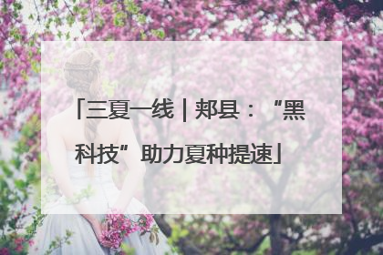 三夏一线｜郏县：“黑科技”助力夏种提速