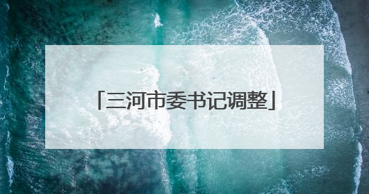 三河市委书记调整
