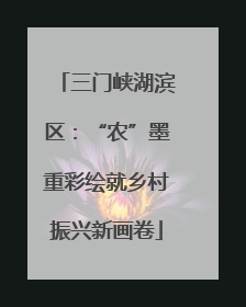 三门峡湖滨区：“农”墨重彩绘就乡村振兴新画卷