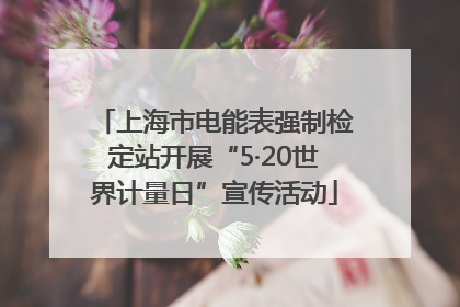 上海市电能表强制检定站开展“5·20世界计量日”宣传活动