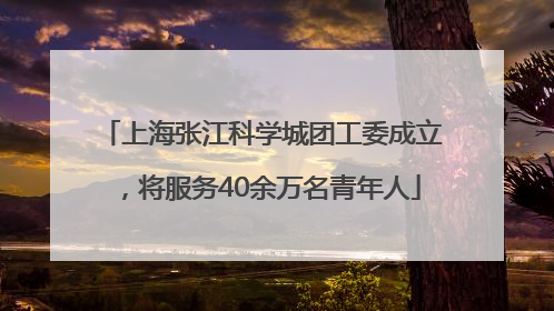 上海张江科学城团工委成立，将服务40余万名青年人