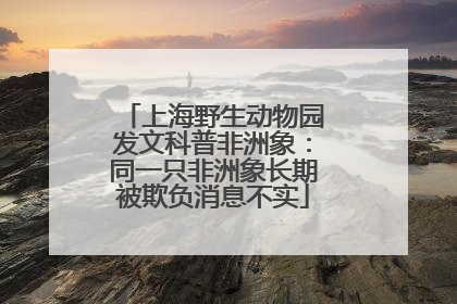 上海野生动物园发文科普非洲象：同一只非洲象长期被欺负消息不实