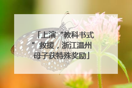 上演“教科书式”救援，浙江温州母子获特殊奖励